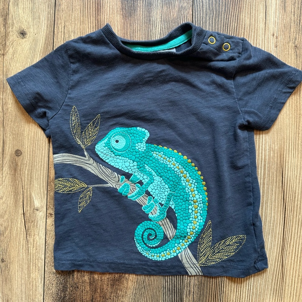 Jarvis Arthur Chameleon T-Shirt 24 months Boy Toddler Nature Summer Textured